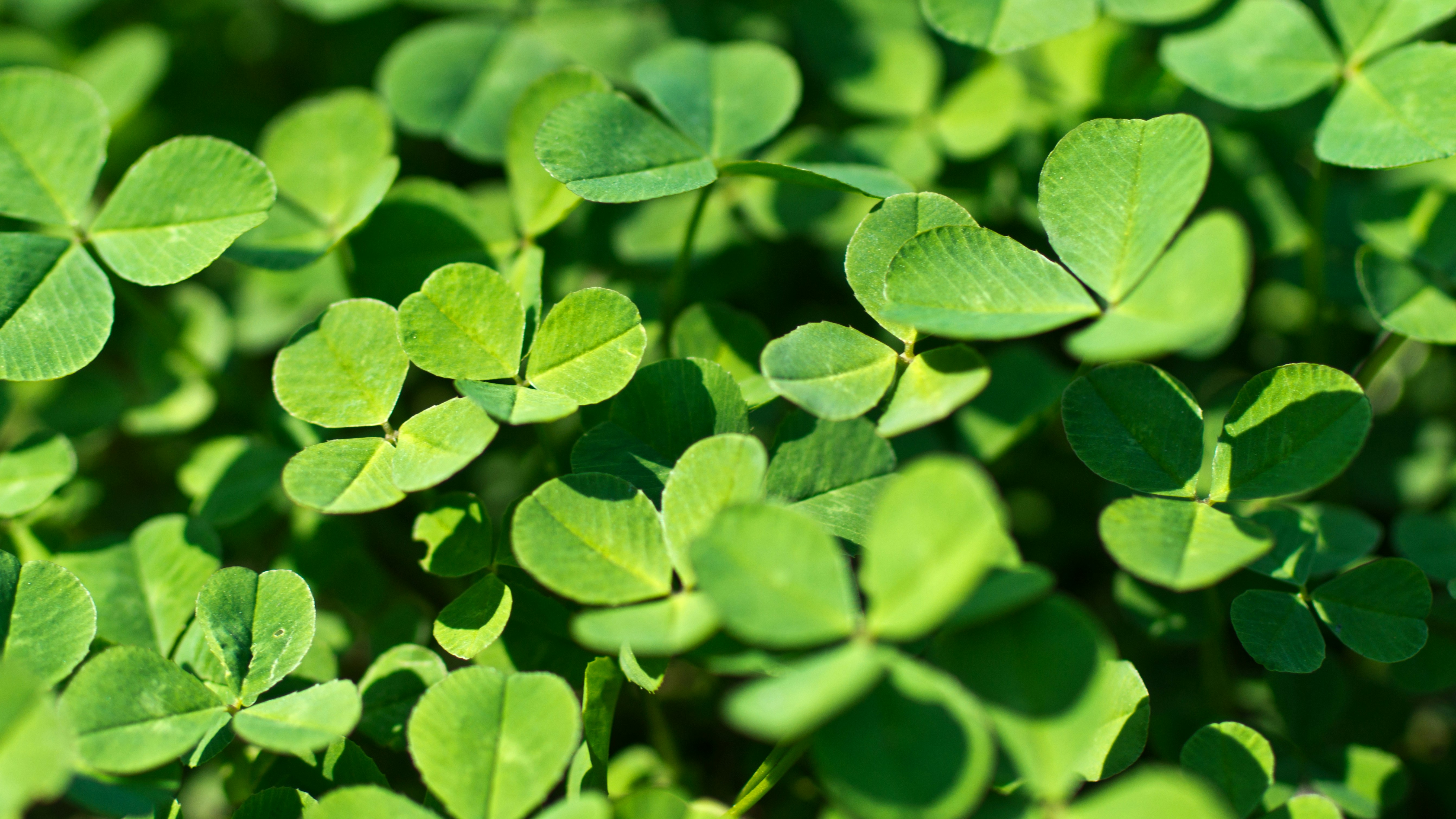 Inzichtelijke Bedrijfsgegevens Voor Beslissingen